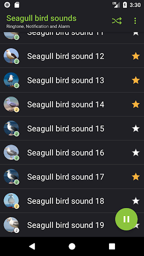 Seagull bird sounds Screen 3
