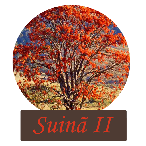 Suinã II logo
