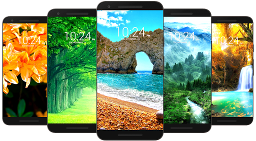 Beautiful Nature Wallpaper HD