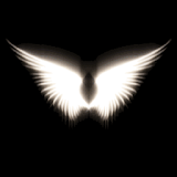 Wings Live Wallpaper icon