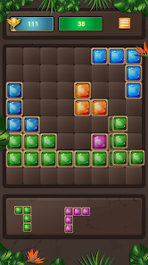 Block Puzzle 6