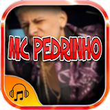 Mc Pedrinho music lyrics icon