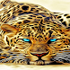 Leopard Wallpaper - Androidアプリ
