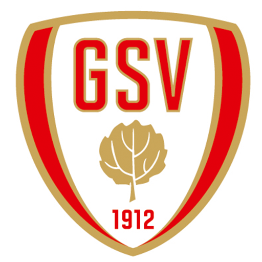 Großenasper Sportverein e.V. logo