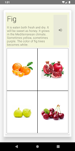 Learning Fruits