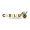 Caxellu de pallabres icon