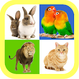 Real animal sound for kids icon