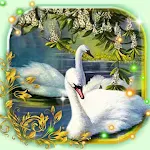 Cover Image of Download Swans Live Wallpaper  APK