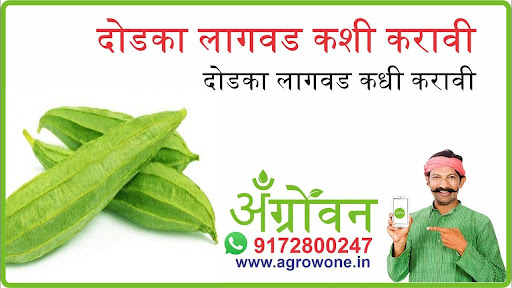 Android application लसूण लागवड #Agrownet™ screenshort