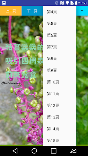 杉林溪一日賞鳥SunLinkSeaBirdWatching Screen 3