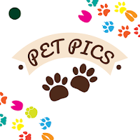 Pet Pictures - Фоторедактор - Pet Face Обои