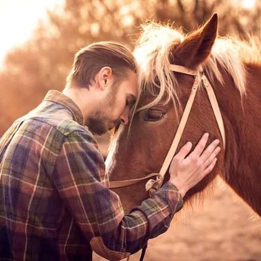 Horse With Man Photo Suit HD