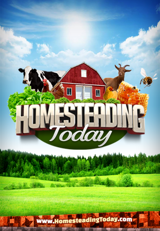 Homesteading Today