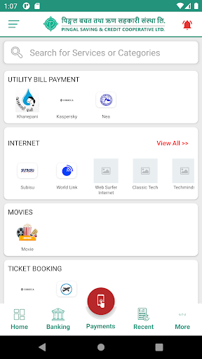 Pingal Smart App Screen 3