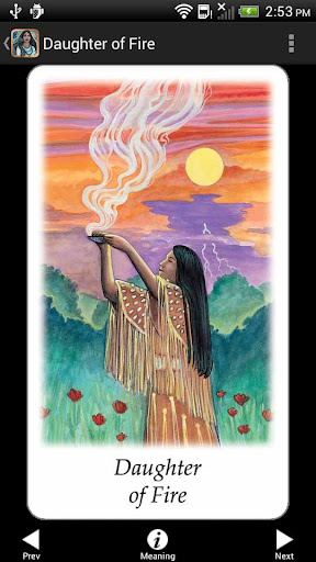 Screenshot of Vision Quest Tarot