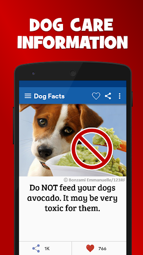Amazing Dog Facts and Breeds Screen 3
