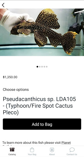 Jasons Plecos & Cichlids LLC Screen 3