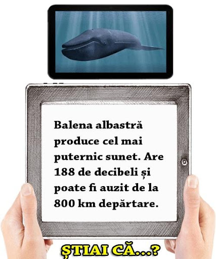 Stiai ca? Screen 2