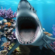 शार्क 3 डी लाइव वॉलपेपर विंडोज़ पर डाउनलोड करें