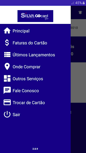 Gocard Silva Blue Screen 2