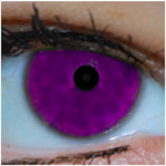 Baby Eye Color Predictor Apk