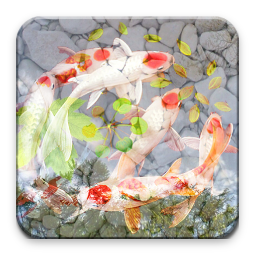 Peces Wallpaper Descarga en Windows