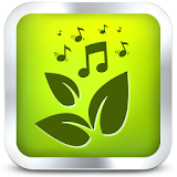 Nature Sounds Relax icon