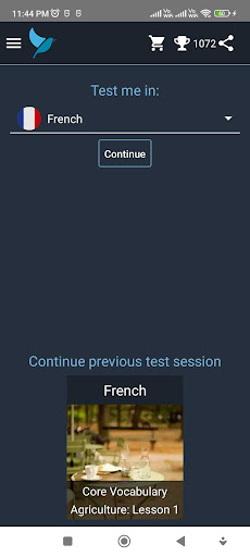 App preview