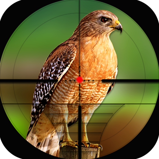 Birds Hunting Challenge Game  Icon