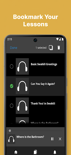 Fast - Learn Swahili Language Screen 2