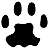 PAW Server for Android icon