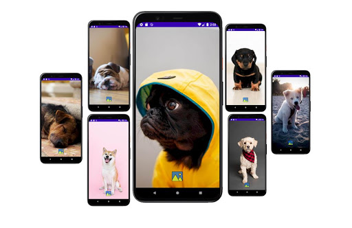 Android application Fondos de Pantalla de Perros T screenshort