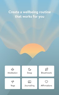 Insight Timer – Meditation App 18.3.1 2
