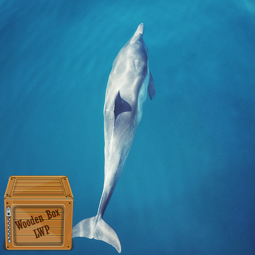 beautiful dolphin wallpaper logo