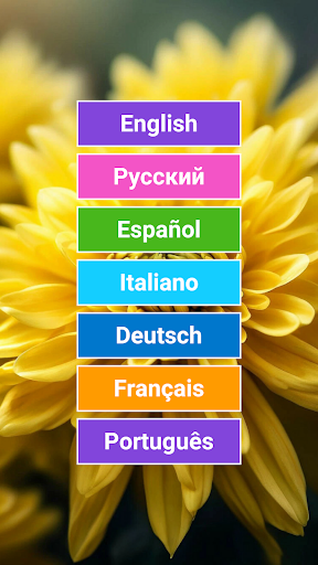 Anteprima dell'app