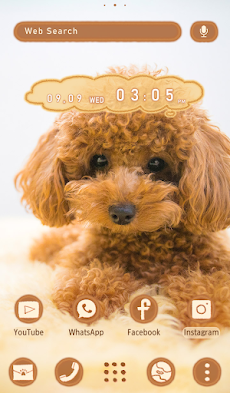 かわいい壁紙アイコン トイプードルの子犬 Androidアプリ Applion