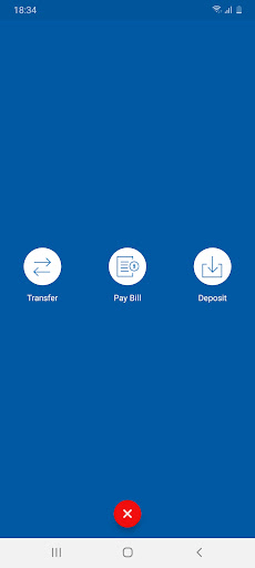 Lakeside Bank Connect Screen 2