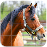 Horses Tile Puzzle icon