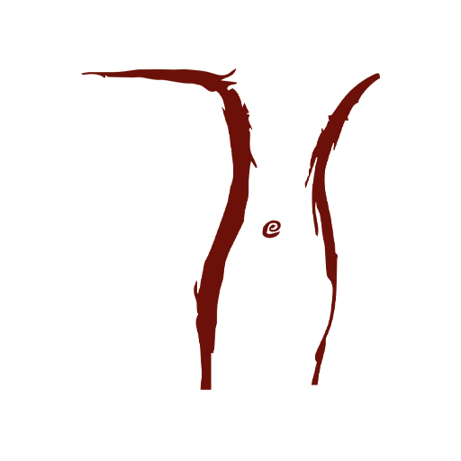 Pelvic Wellness Center logo