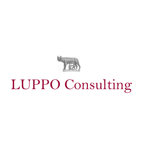 LUPPO Consulting logo