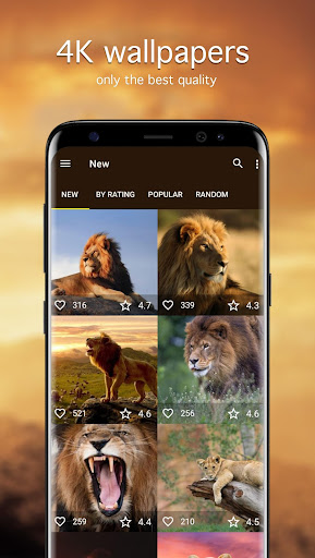 Android application Lion Wallpapers PRO screenshort