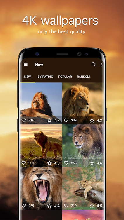 Lion Wallpapers PRO - 5.7.91 - (Android)