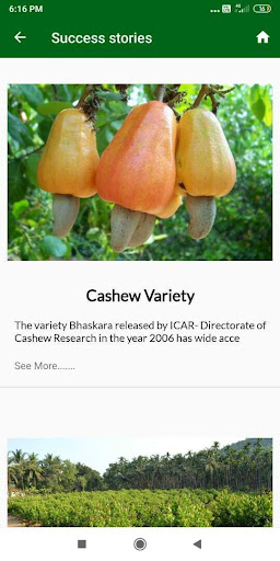 Cashew India Screen 2