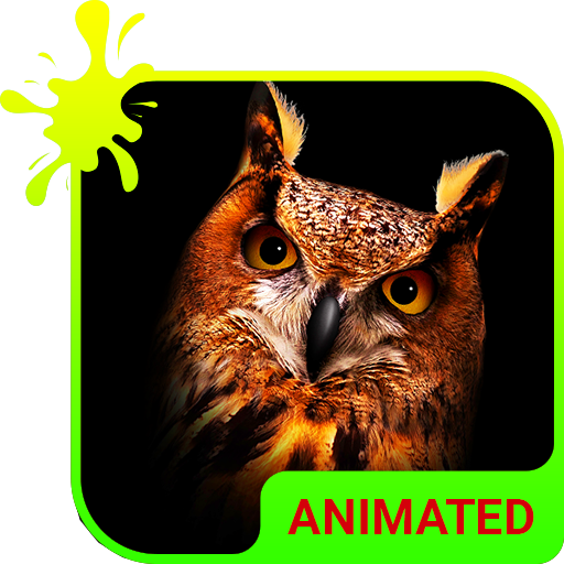 Owl Animated Keyboard + Live Wallpaper