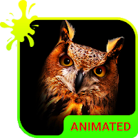 Owl Animated Keyboard + Live W