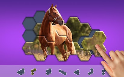 Hexa Jigsaw Puzzle ®