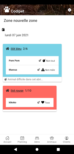 Codipet Screen 2