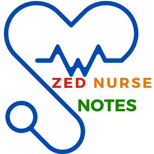Zed Nurse Notes logo