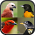 Birds Encyclopedia Offline App