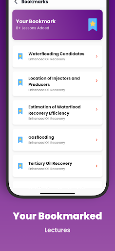 Screenshot of Petroleum Engineering (Pro)